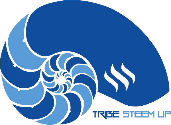 Tsu3 - Graphic Design (631x458), Png Download