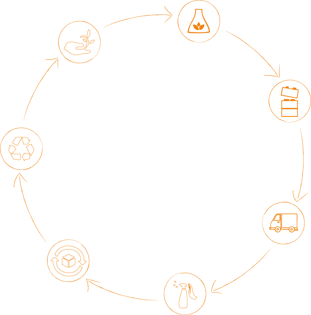 Circle (1002x1013), Png Download