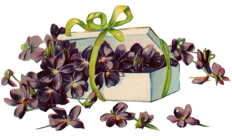 Vintage Violets In A White Box Free Image Png - Portable Network Graphics (800x460), Png Download