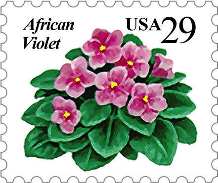 Offered By The African Violet Society Of America, Inc - African Violets (440x440), Png Download