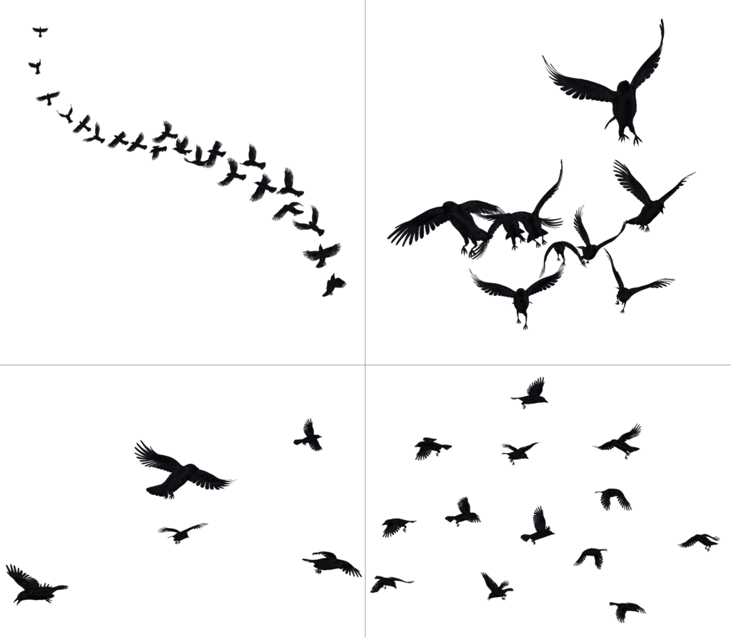 Crow Free Png Transparent Background Images Free Download - Group Of Crows Png (1024x893), Png Download