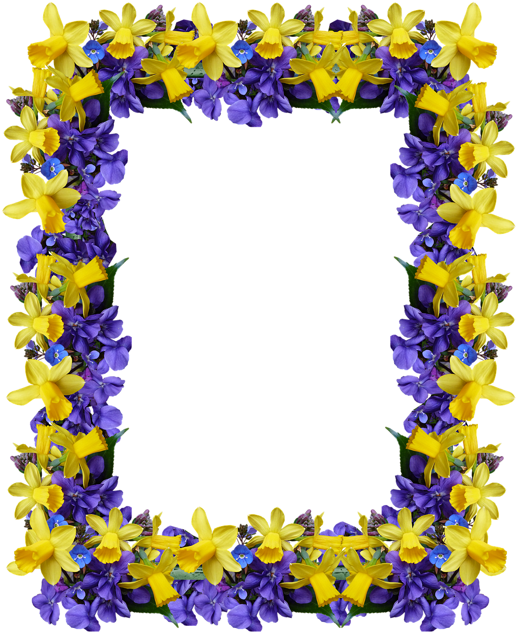 Pictures, Free Photos, - Delphinium (1047x1280), Png Download
