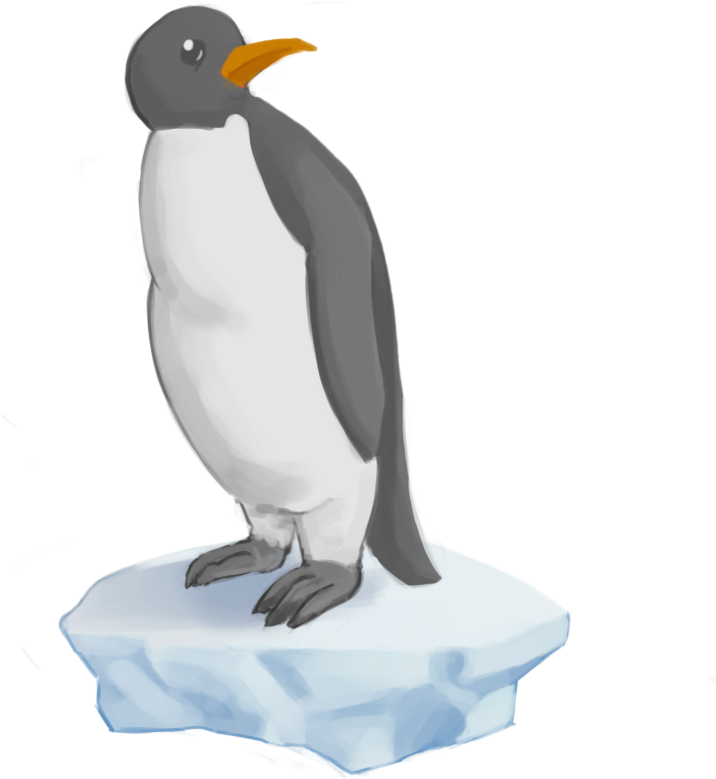 Gentoo Penguin (2480x3508), Png Download