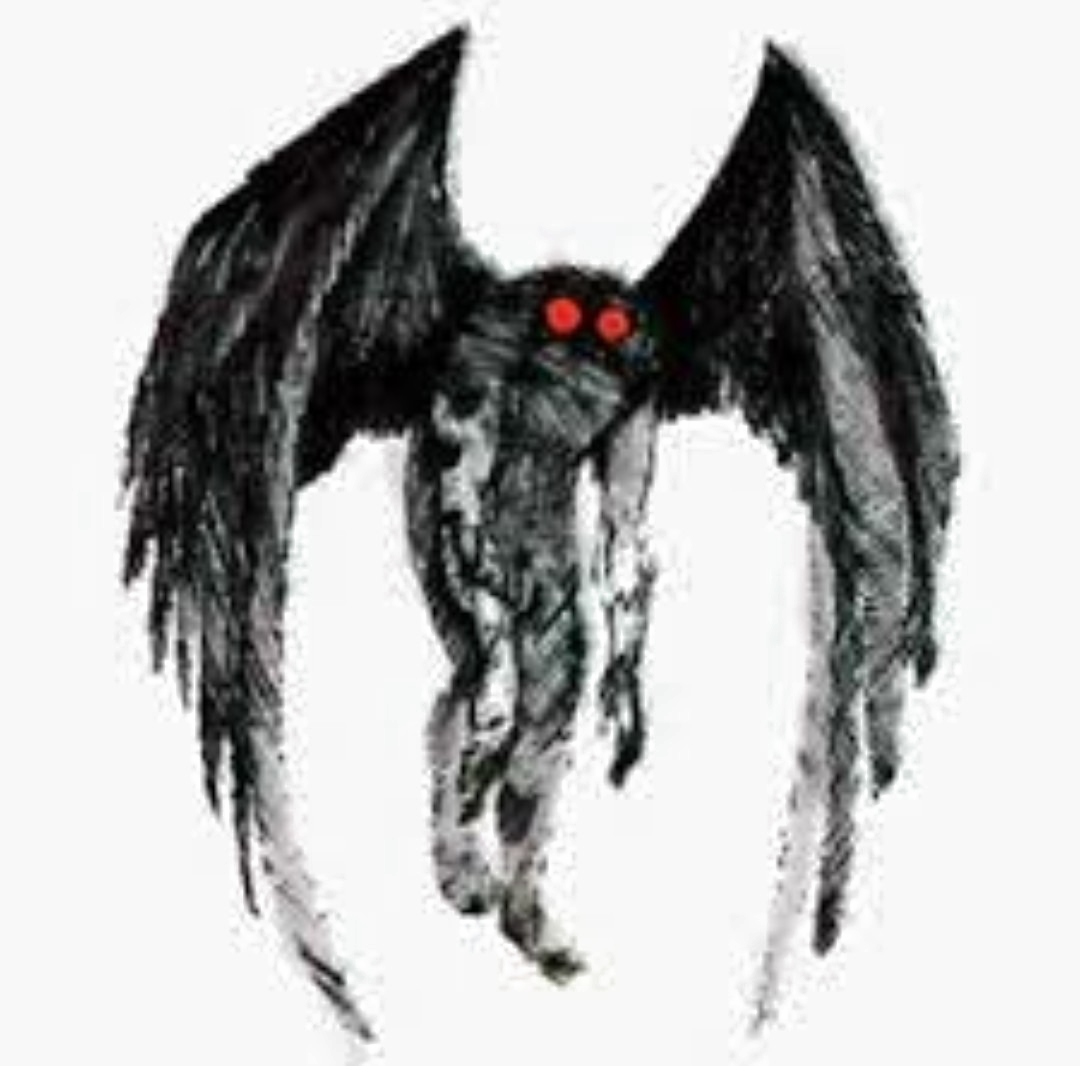 Mothman Png Image Background - Mothman : Real Life Sightings (1080x1066), Png Download