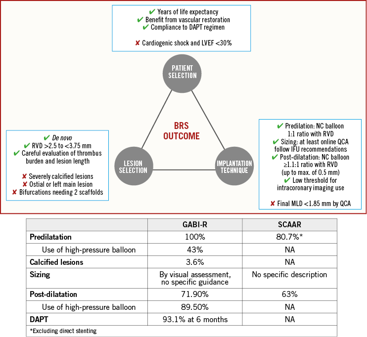 "data From Real-world Registries - Bioresorbable Stent (742x682), Png Download