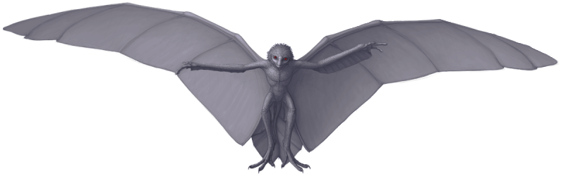 The Four Dreams Where I've Seen A "mothman" Clearly - California Condor (800x254), Png Download