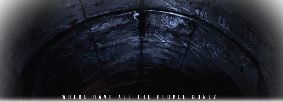 The Mothman Chronicles - The Mothman Prophecies (940x340), Png Download