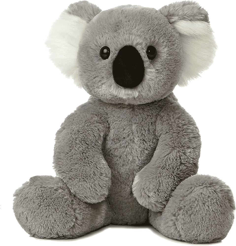 14″ Koala Bear - Koala Toy (1024x1024), Png Download