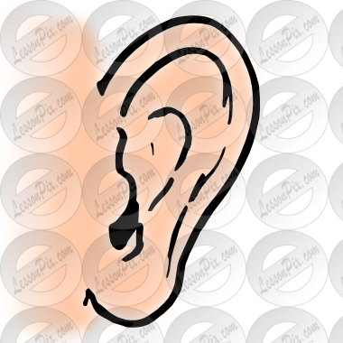 Ear Clip Art - Ear Outline (380x380), Png Download