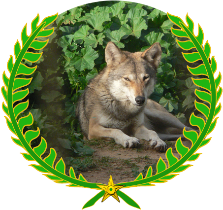 Այս Նիշքը Տեղադրված Է Վիքիպահեստում - Wolf (466x444), Png Download