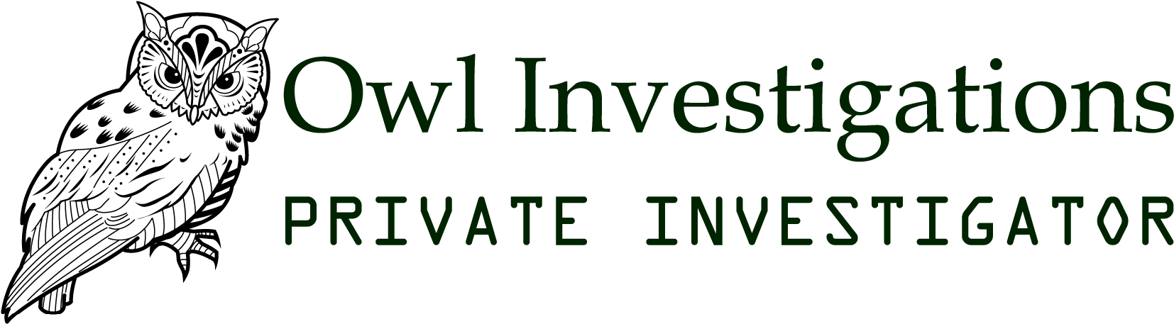 Amongst The Services We Offer Private Investigator - Texas Insurance Coverage Litigation- The Litigator's (1713x502), Png Download
