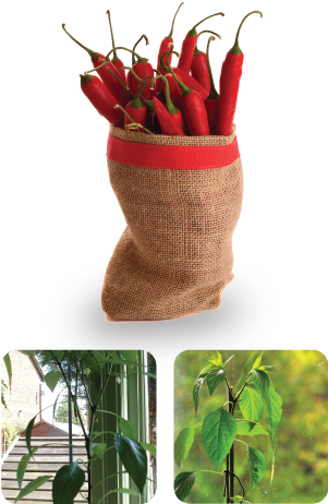 Compost-bin - Woolen (300x469), Png Download