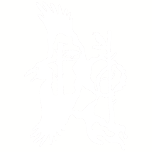 Spirit Of The Raven - Illustration (500x500), Png Download