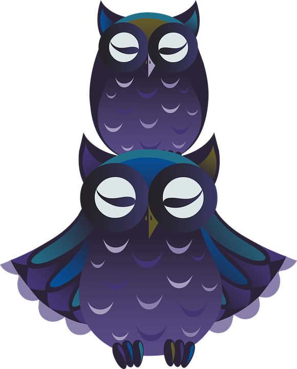 How To Set Use Ilmenskie Owl Clipart - Png นก สี ม่วง (480x595), Png Download