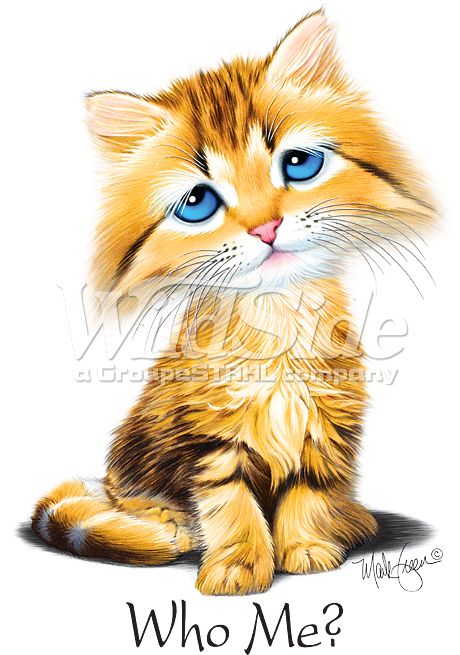 Kitten (675x675), Png Download