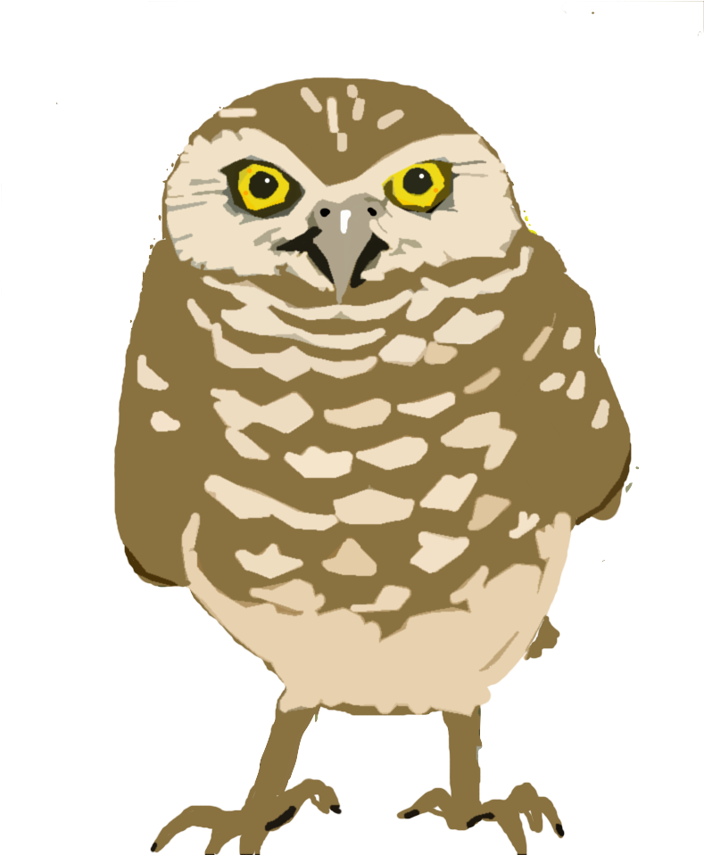 Boy Transparent Angel - Burrowing Owl Clipart (841x958), Png Download