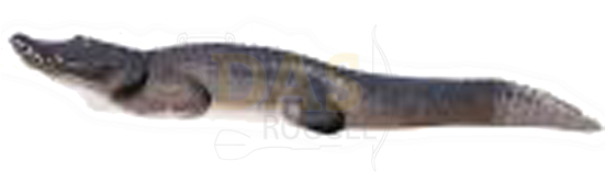 Picture Of Delta Alligator - Delta Mckenzie Outdoor Hunting 20820 Pro 3d - Alligator (550x550), Png Download