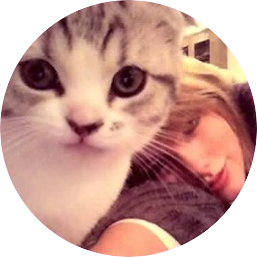 Cat, Meredith, And Taylor Swift Image - Taylor Swifts Cats Transparent (500x500), Png Download