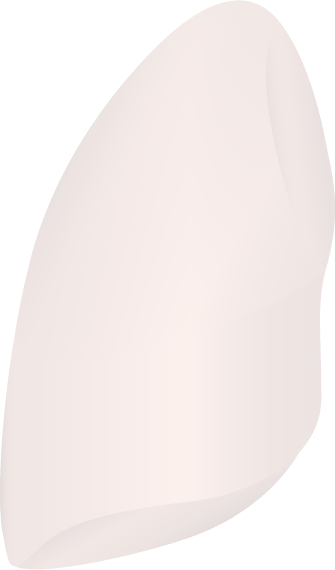 Left Side Of A Human Lung - Coffee Table (335x570), Png Download