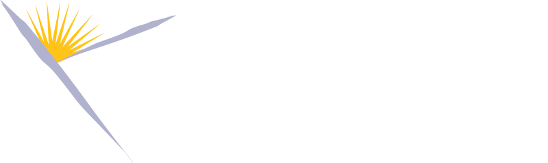 Dental Implants - Performance (800x238), Png Download