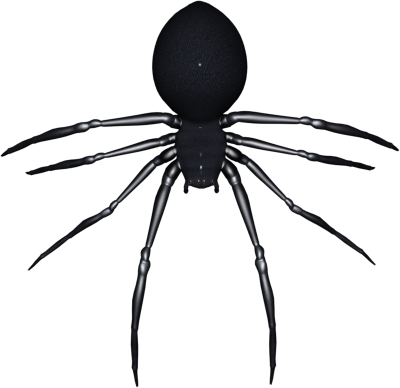 Halloween Image Art - Widow Spiders (800x776), Png Download