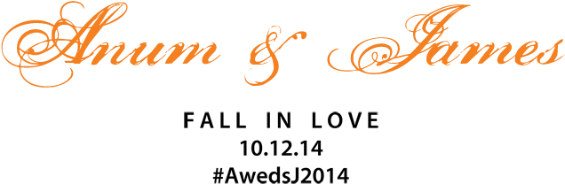 When James And I Met More Than Seven Years Ago, It - Calligraphy (640x218), Png Download