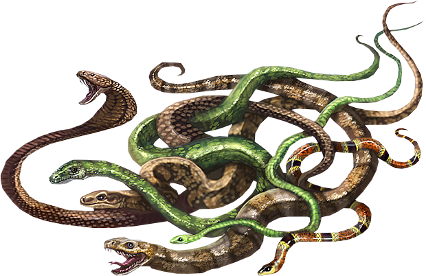 Post - D&d Swarm Of Snakes (620x402), Png Download
