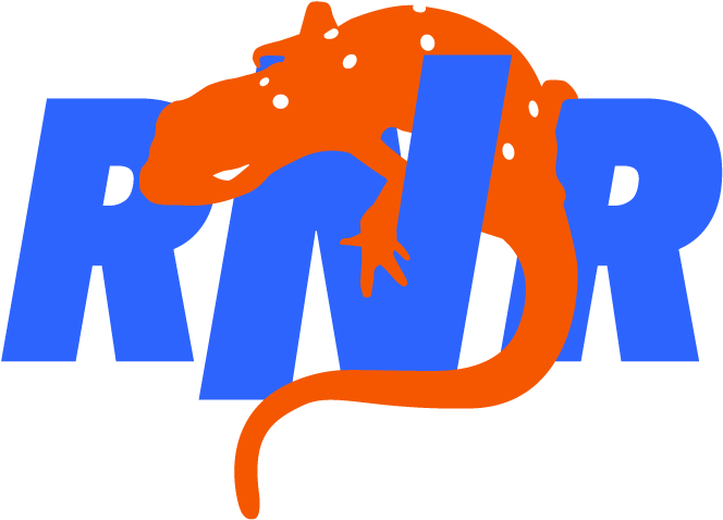 Racing (695x530), Png Download