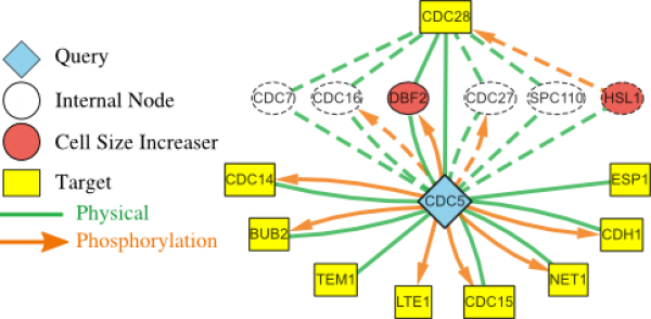 Connecting Top Down And Bottom Up Models Of Systems - Network Bottom Up Top Down (600x294), Png Download