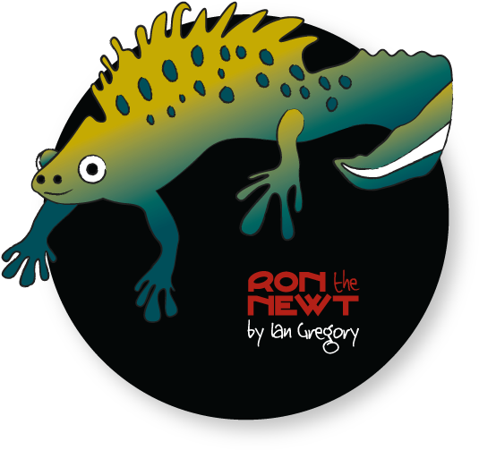 ~ Ron The Newt - Lizard (541x514), Png Download