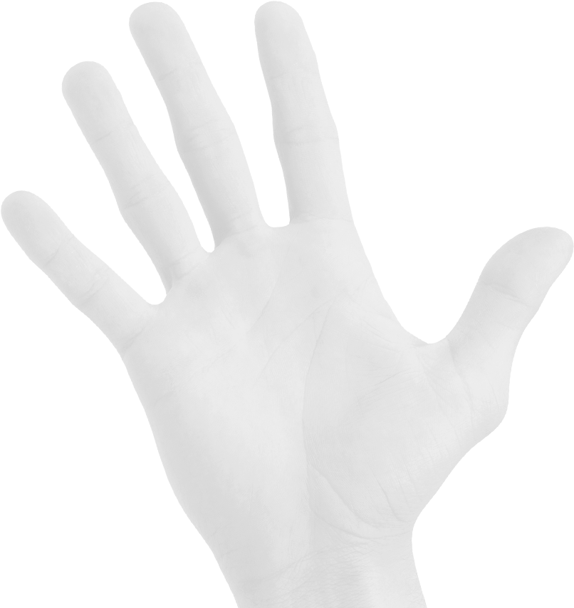 Hand Therapy Inc-bellingham (856x887), Png Download