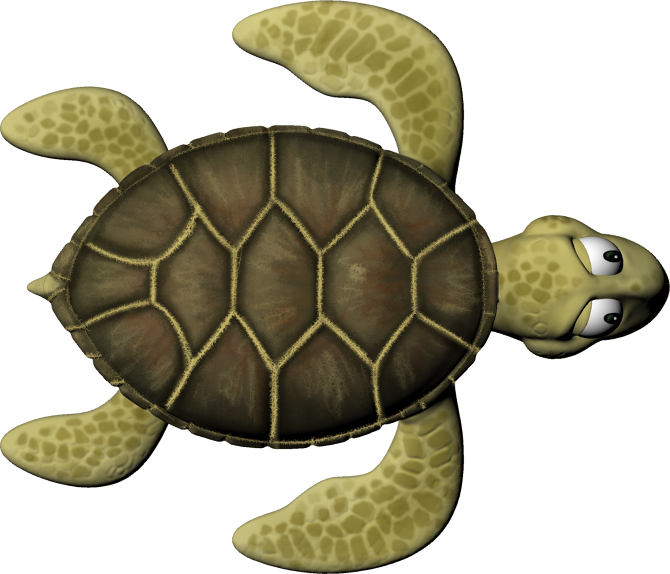 Sea Turtle - Kemp's Ridley Sea Turtle (670x574), Png Download