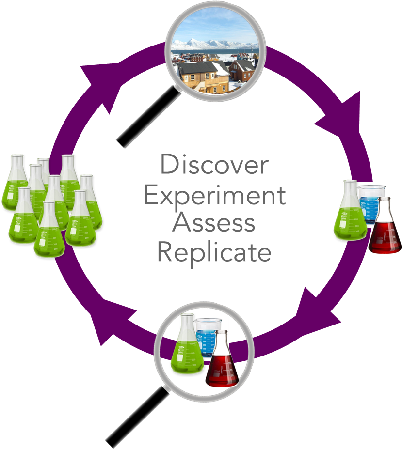 Dear Model (831x1047), Png Download