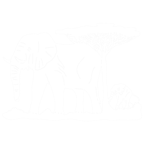 Trail Of The Elephant - Indian Elephant (500x500), Png Download