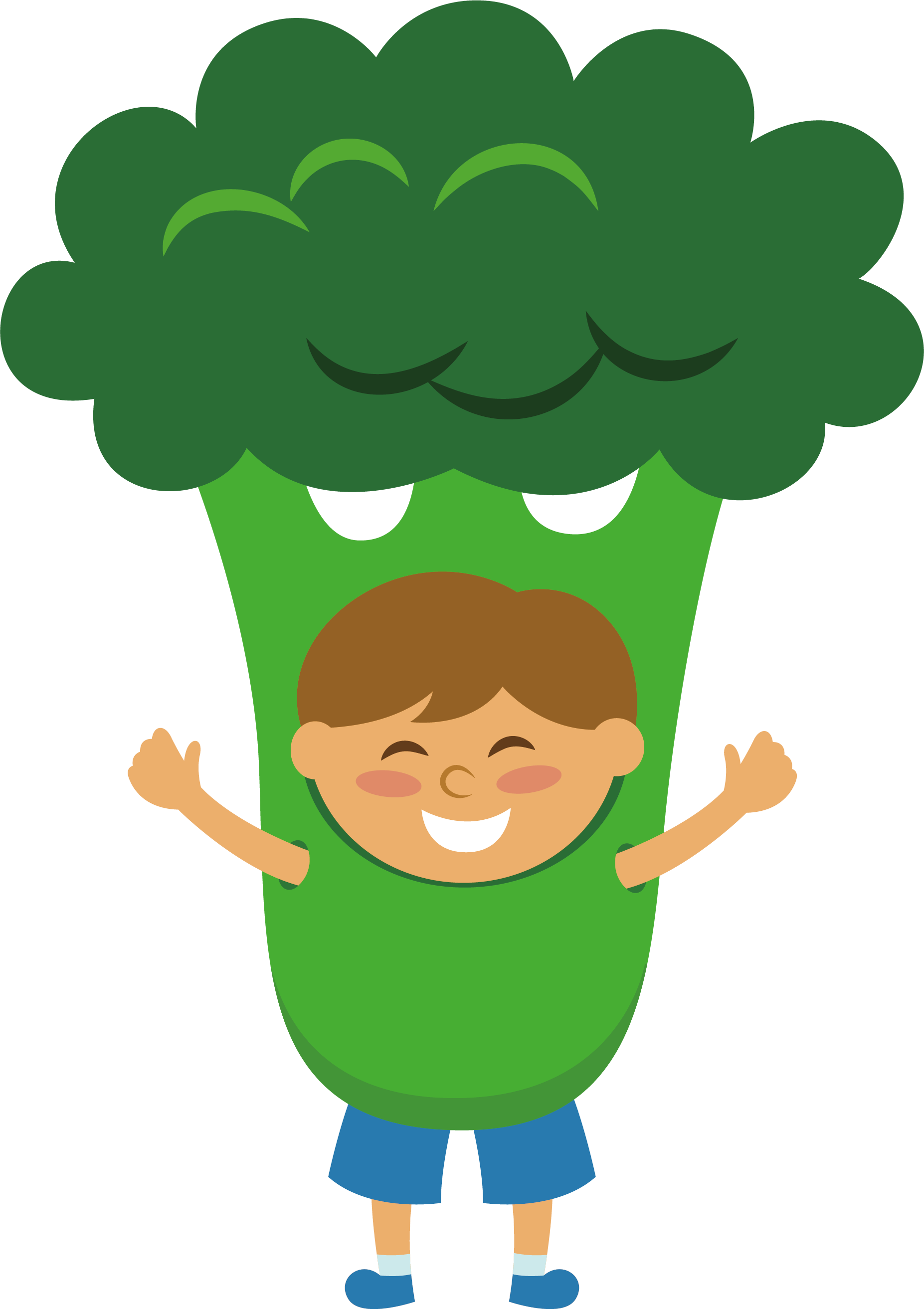 Png Freeuse Library Vegetable Fruit Cauliflower Green - Brocoli Animado Png (1853x2625), Png Download