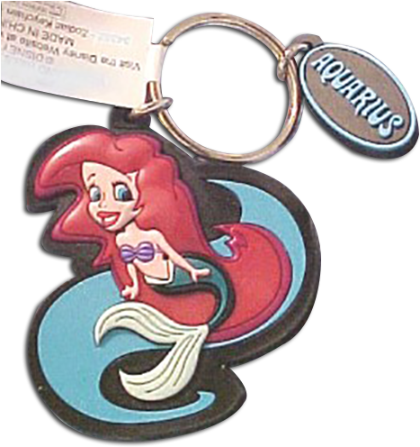 Disney Zodiac Key Chains (488x500), Png Download