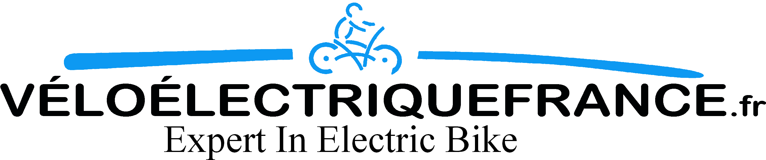 New Logo 3 - Janis Joplin (2928x660), Png Download