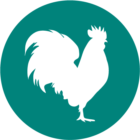 Avian Influenza - Agence Immobilière L Adresse (500x492), Png Download