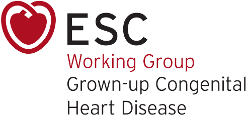 European Society Of Cardiology (520x260), Png Download
