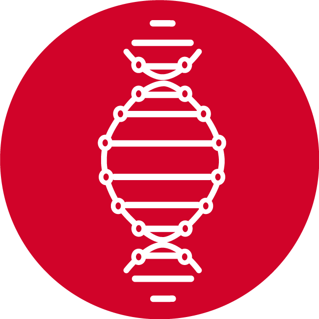 Mt - Emblem (650x650), Png Download