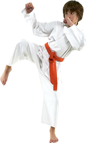 Black Belt Club - Karate Teen (346x470), Png Download