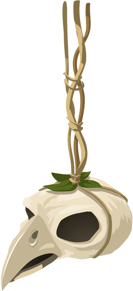 Bird (500x1000), Png Download