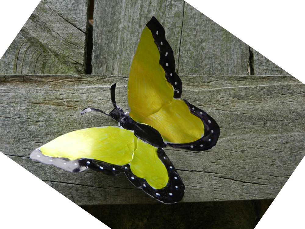 When I Saw Soda Can Butterflies On The Internet, I - Apatura (1000x750), Png Download