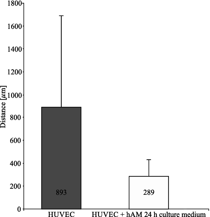 Scratch Test Of Human Umbilical Cord Vessel Epithelium - Disgust (680x703), Png Download
