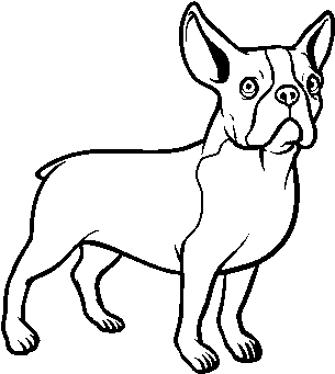 French Bulldog Dog Coloring Page - Dibujos De Perros Bulldog Frances (600x470), Png Download