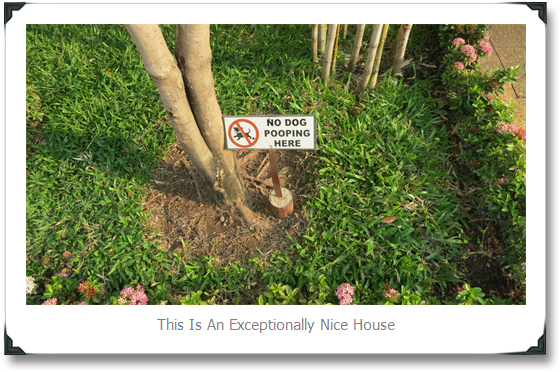 No Dog Pooping - Germanys Next Topmodel 2012 (580x390), Png Download