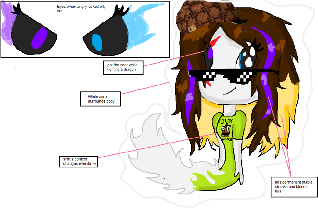 Skymeme Persona Ref Sheet By Purbl Skylar-d8zblca - Scumbag Steve Hat (1024x675), Png Download