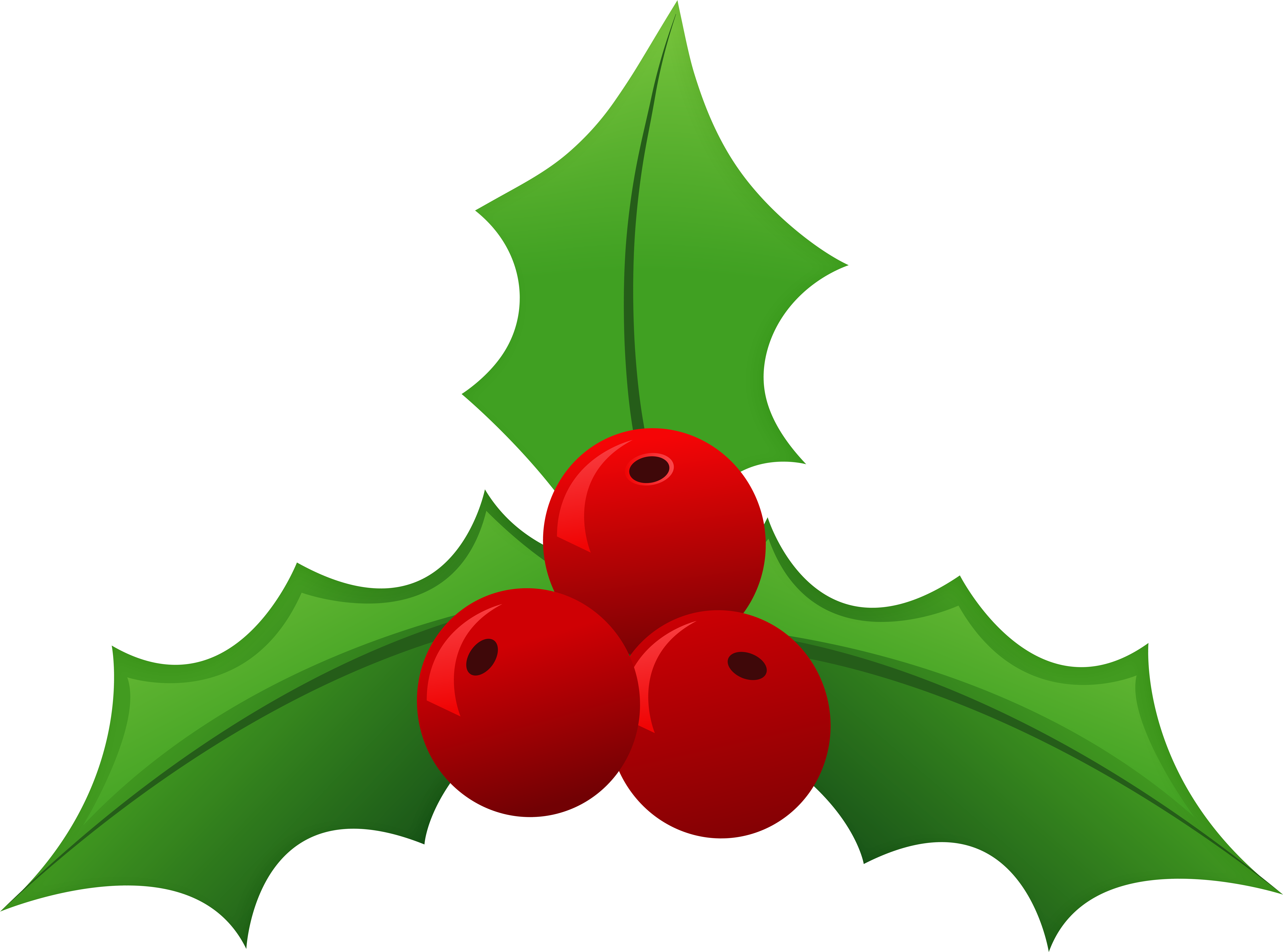 Mistletoe Png (8000x5957), Png Download