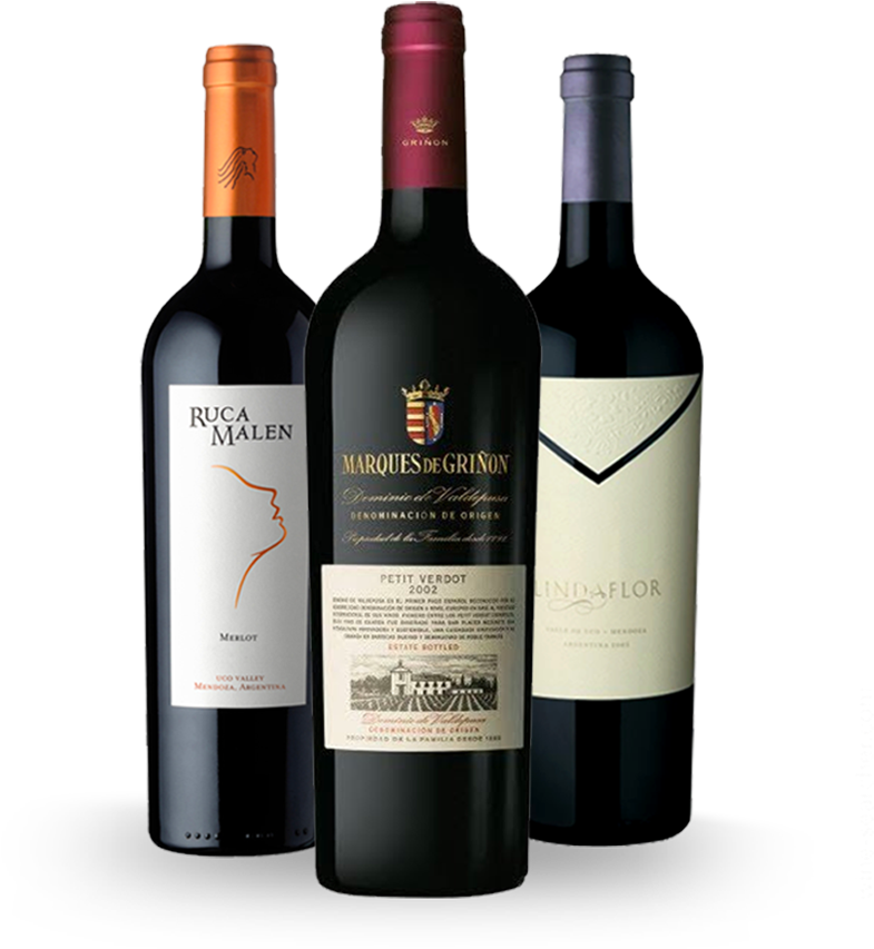 Ruca Malen Petit Verdot Reserva (1000x859), Png Download