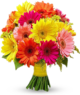 Beautiful-flowers - Bouquet De Fleurs Gerbera (335x400), Png Download